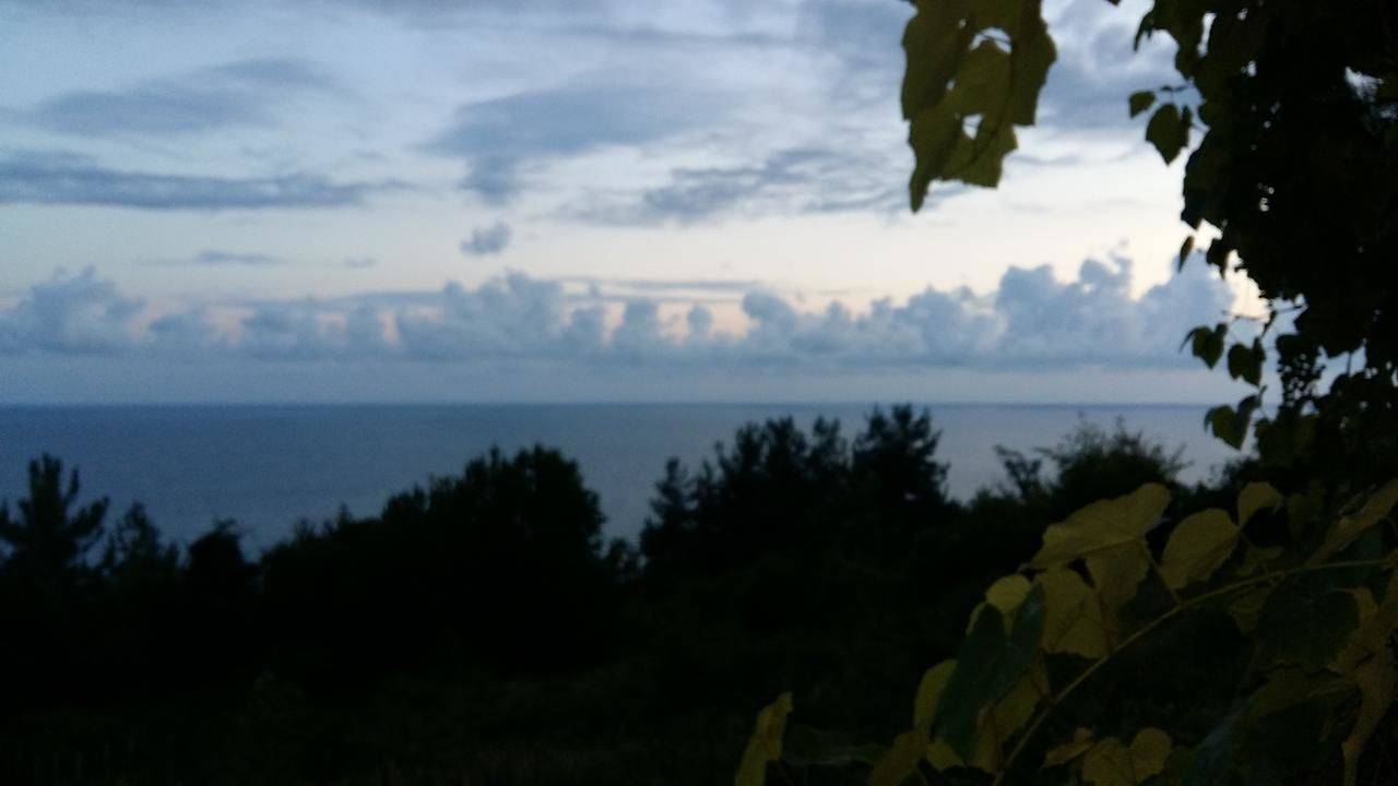 Фото Гостевого дома Мини Отель Багрыпста Цандрыпш 33